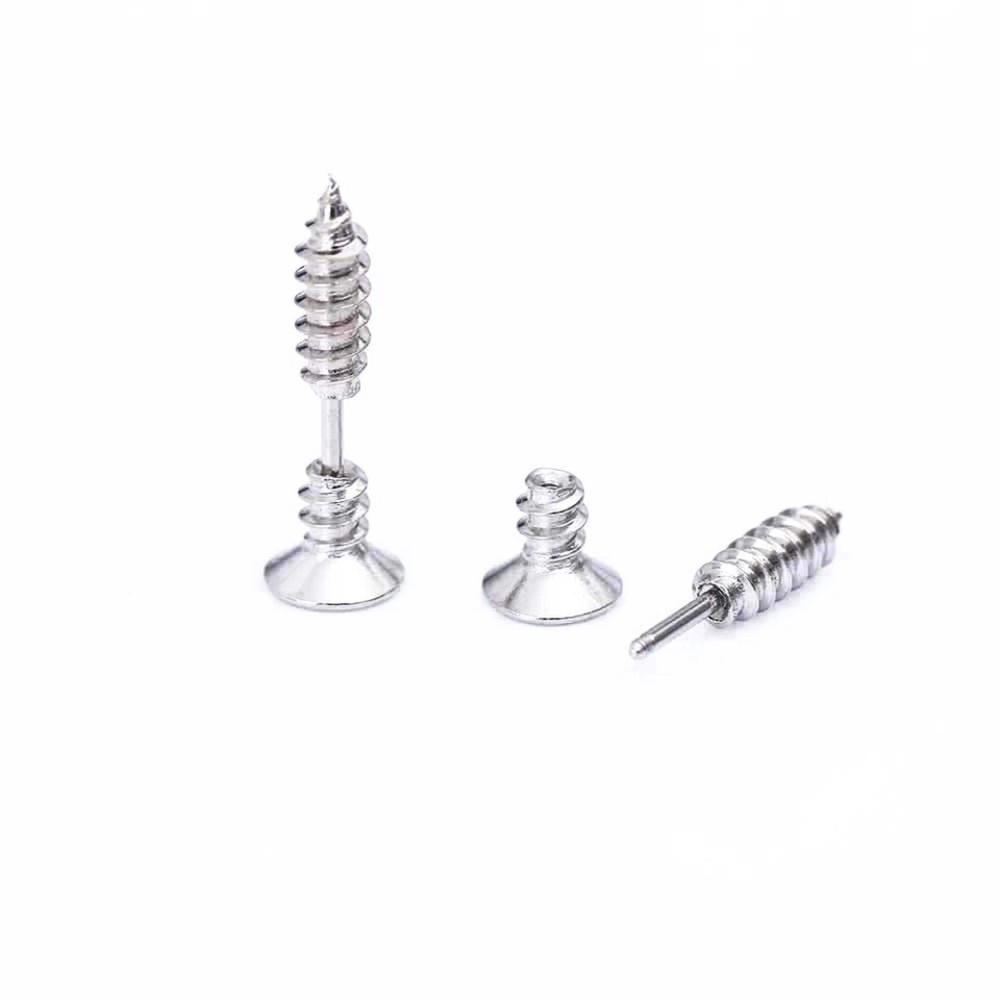 Silver Colored Screw Stud Earrings
